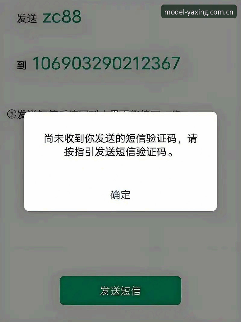 力作典范登录通道常见问题排查完整指南
